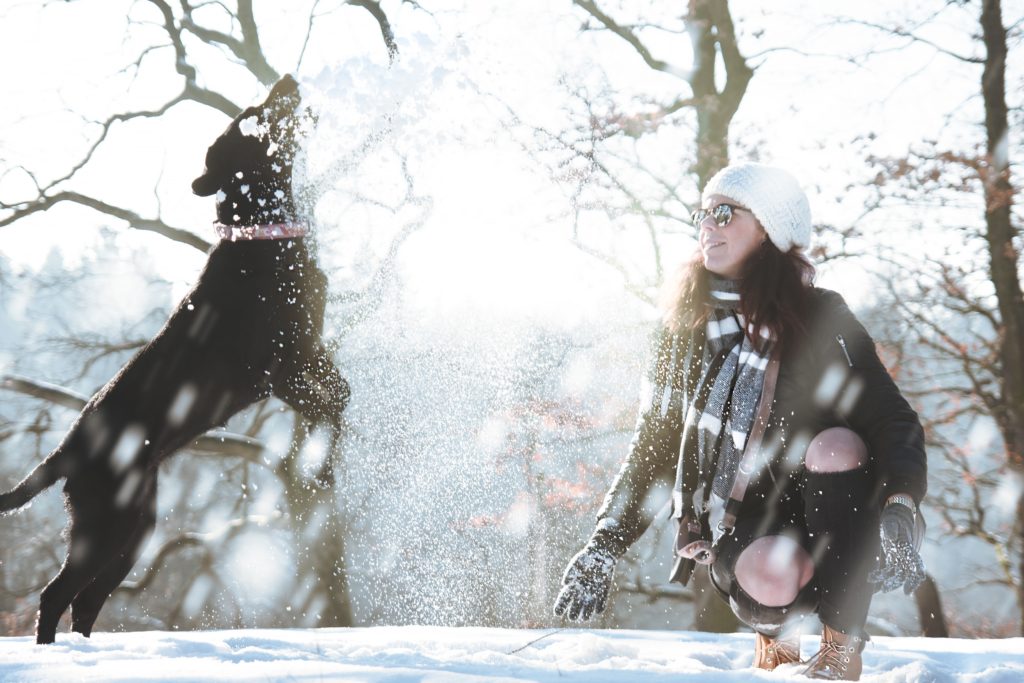 6 Simple but Fun Winter Activities to do With Your Dog